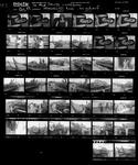 Various image item